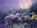 Moon Babies (image for) Moon Babies